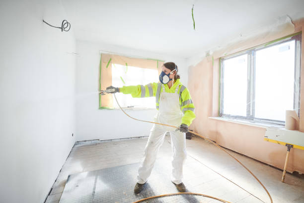 Best Post-Construction Mold Inspection  in Monrovia, IN