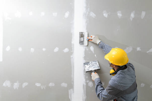 Best Mold-Related Health Consultation  in Monrovia, IN