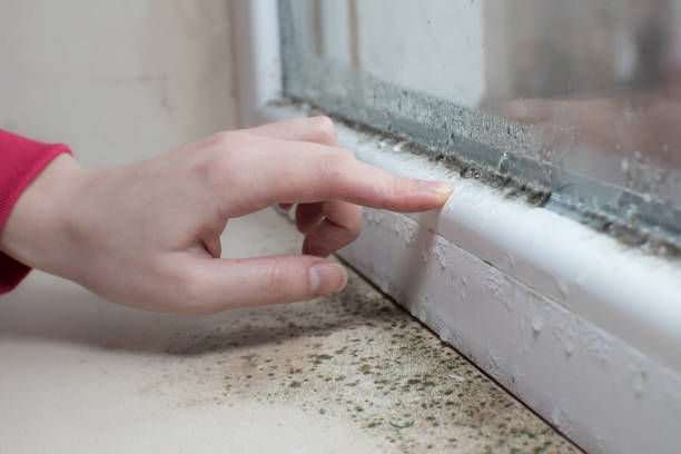 Best HVAC Mold Inspection and Cleaning  in Monrovia, IN