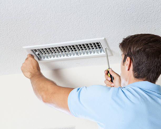 Best Attic Mold Removal  in Monrovia, IN