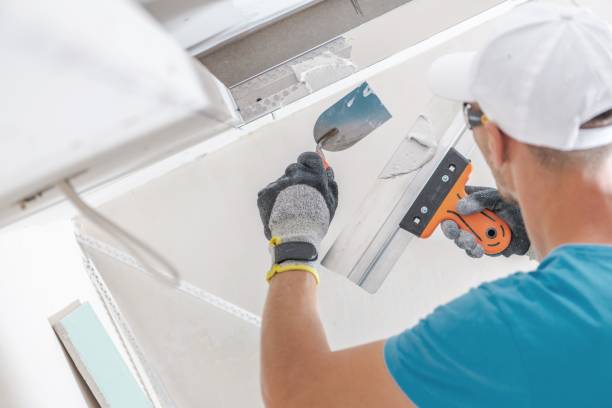 Best Biohazard Mold Removal  in Monrovia, IN